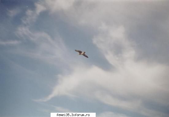 soarele, inceput drum!!! idealul meu, zborul