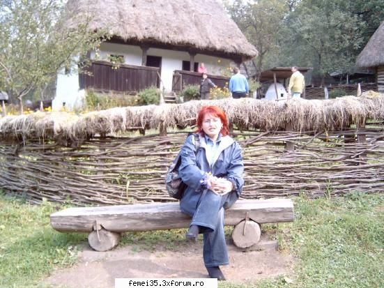 pozele promise lummi31+ t.v.a