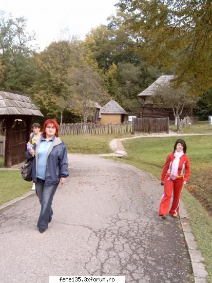 pozele promise partea